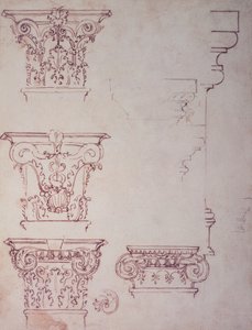 Études pour un Chapiteau - Michelangelo Buonarroti